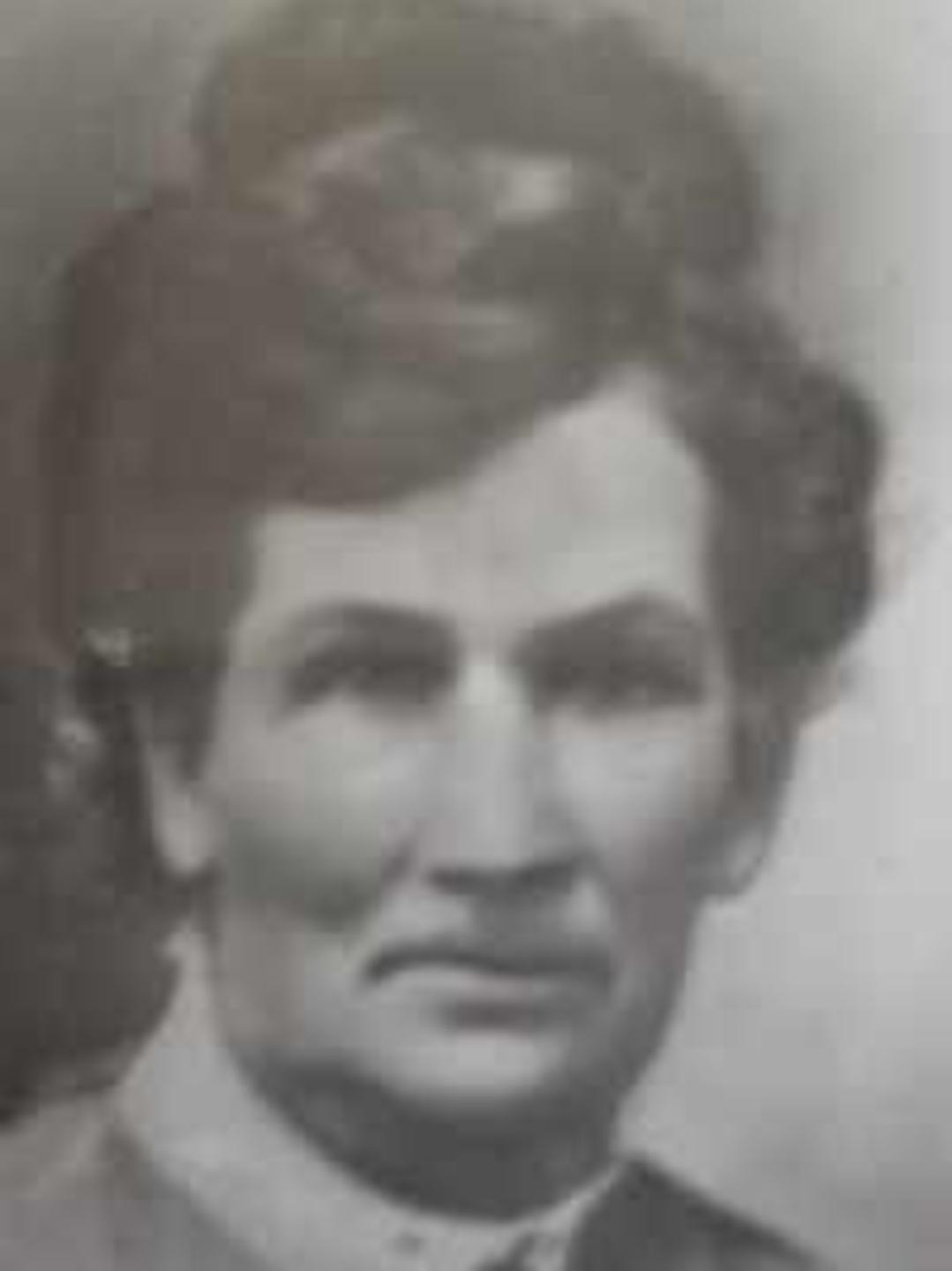 Sarah Elizabeth Hanham (1850 - 1910) Profile